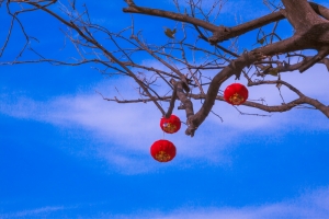 風中的紅燈籠