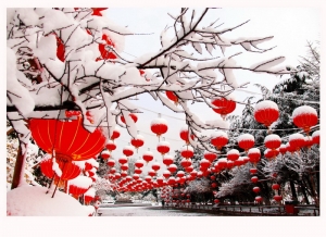 雪中的紅燈籠