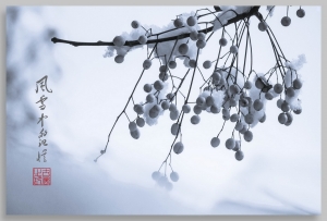 風雪中的記憶