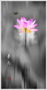 荷6——夢荷