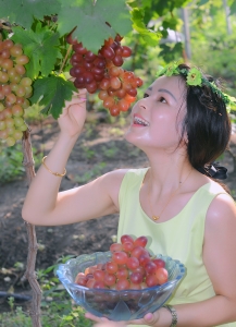 葡萄  美女