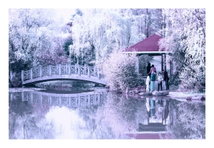 公園一角