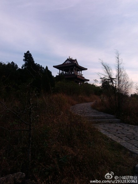 【微博熱圖】舜耕山頂清風閣的“獨特風景”2015.10.31