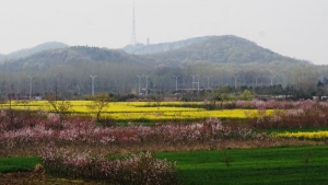 春美舜耕山