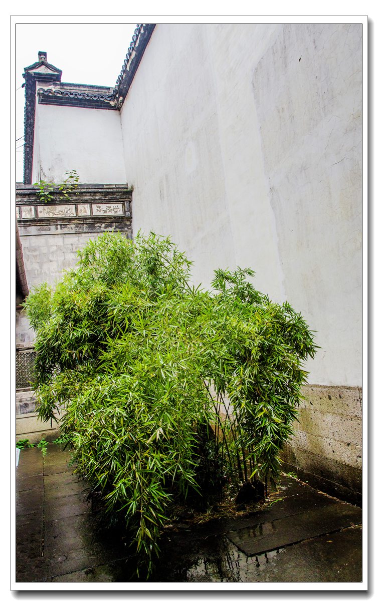 清河坊掠影(二)