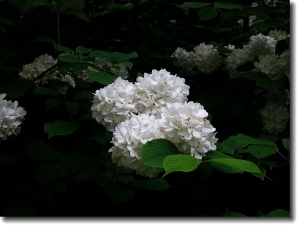 走進(jìn)山南