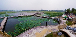 美麗焦崗湖