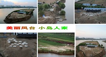 美麗鳳臺一一小島人家