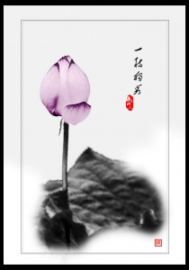 一枝獨秀