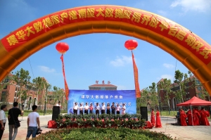 安徽璞華大數據落戶淮南