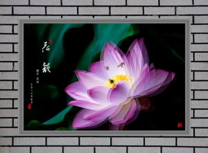 荷韻