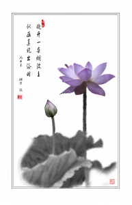 并蒂蓮