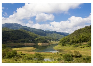 大別山一路行