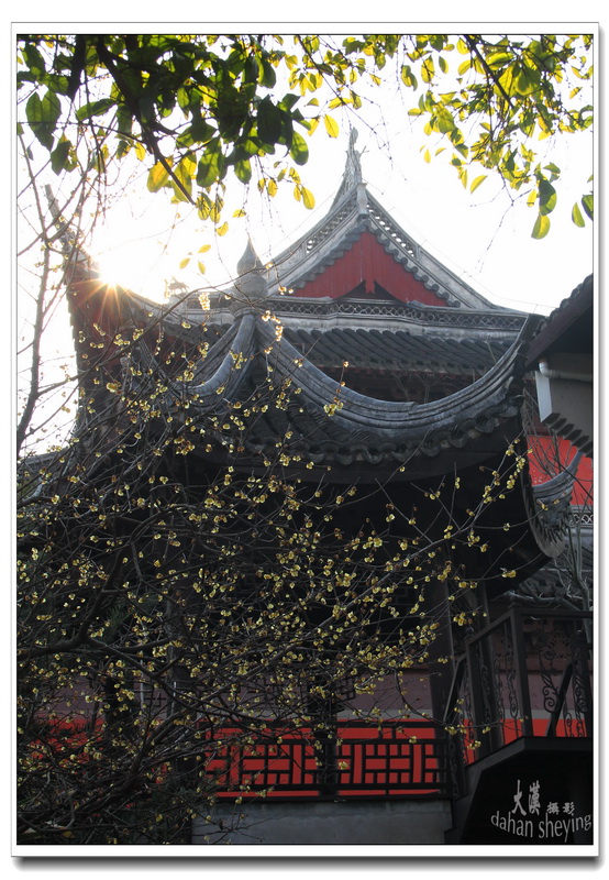 楓涇古鎮一瞥