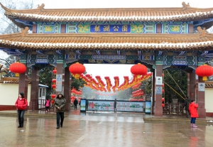龍湖喜迎春雪