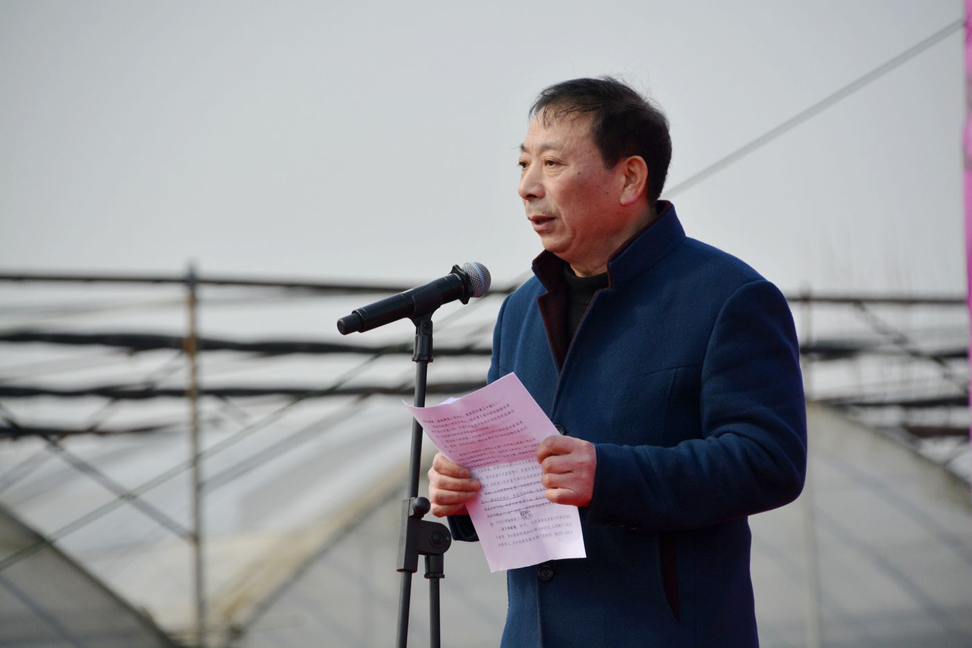 第十屆中國淮南曹安桃花草莓節隆重開幕