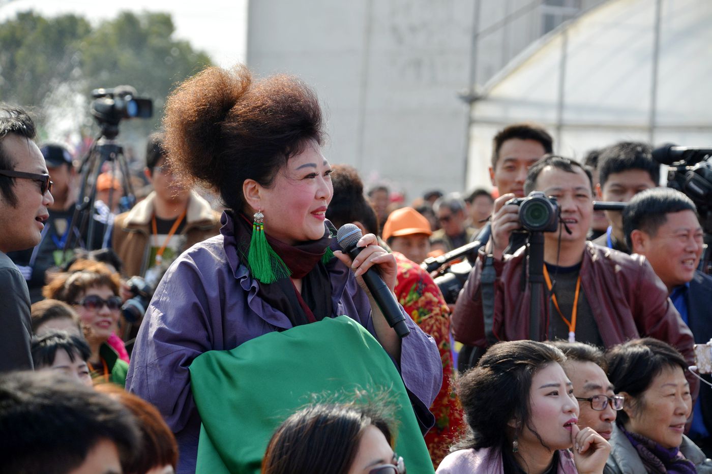 第十屆中國淮南曹安桃花草莓節隆重開幕