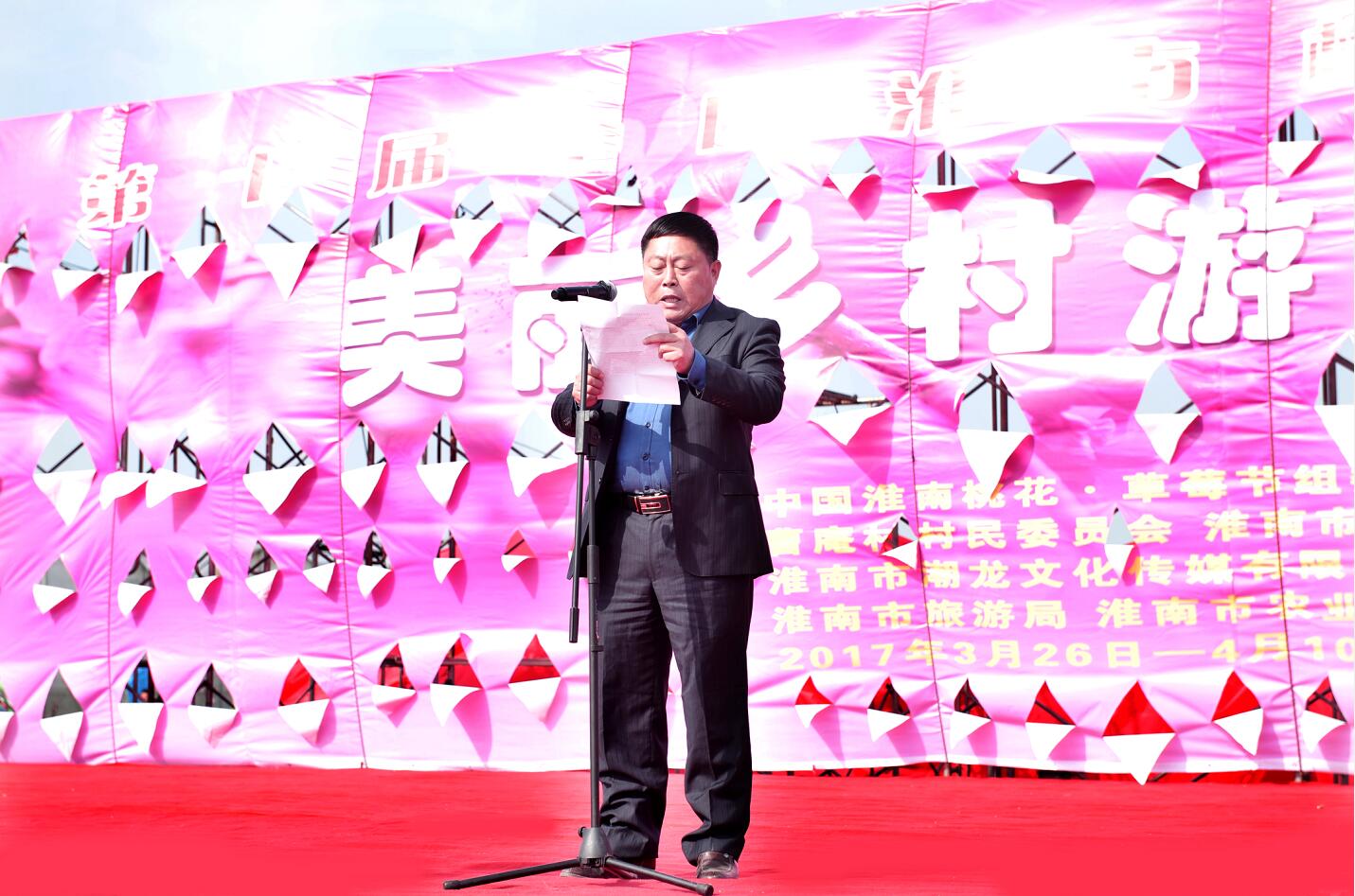 第十屆中國淮南桃花、草莓節開幕式