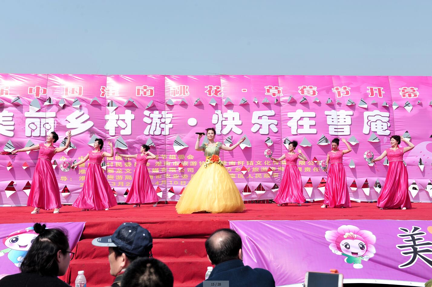 第十屆中國淮南桃花、草莓節開幕式