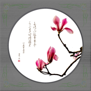 玉蘭花